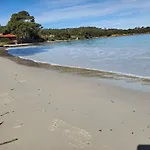 Sur L'ile De