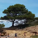 Apartment Sur L'ile De Porquerolles