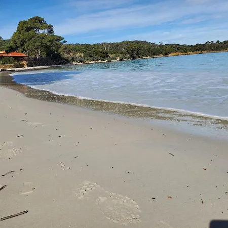 Sur L'ile De