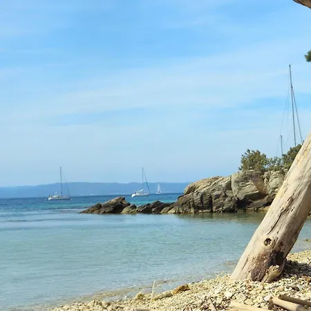 Sur L'ile De Porquerolles