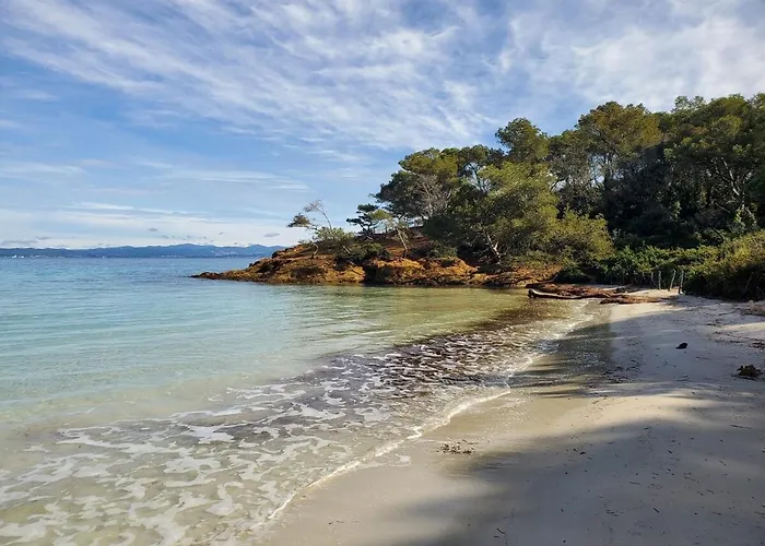 Lägenhet - T2 Porquerolles